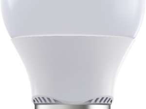 LED BULB